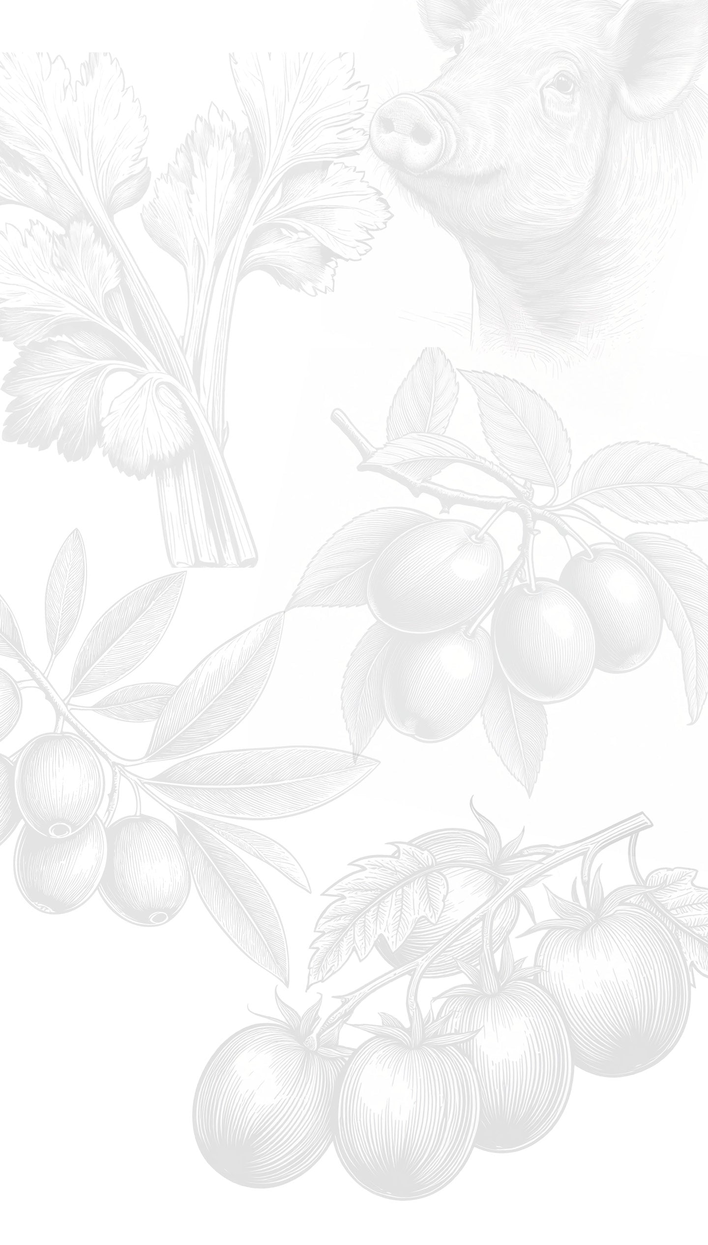 Hero Background